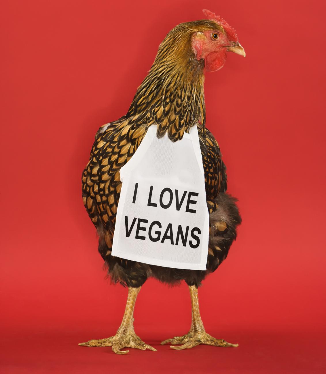 Yes, Vegans Can!