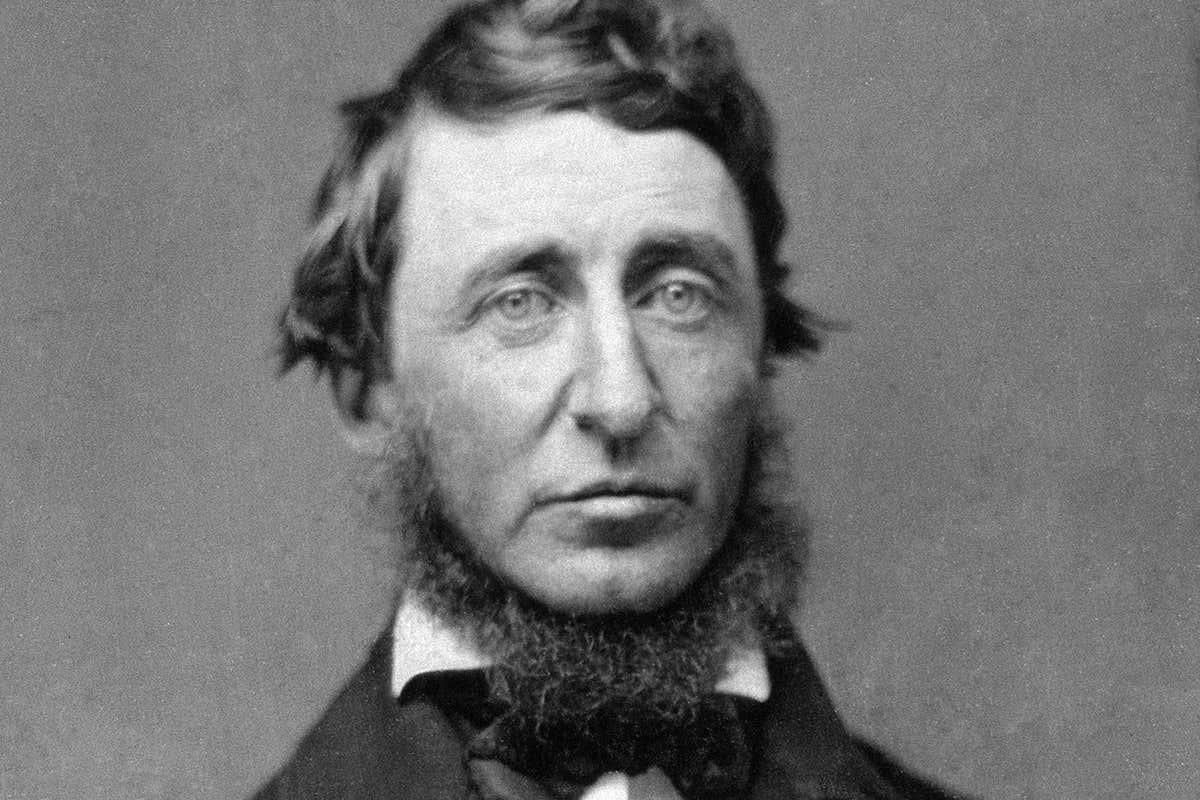 Henry David Thoreau Quote